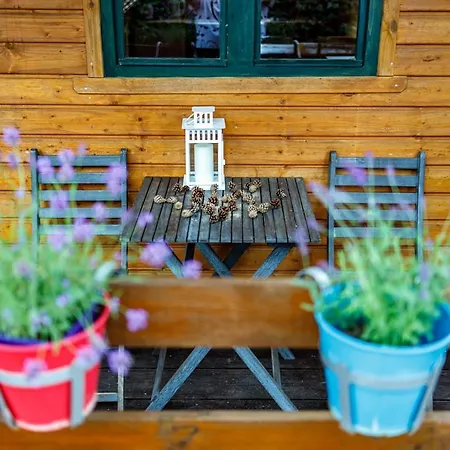 松木山林小屋 山林小屋 *