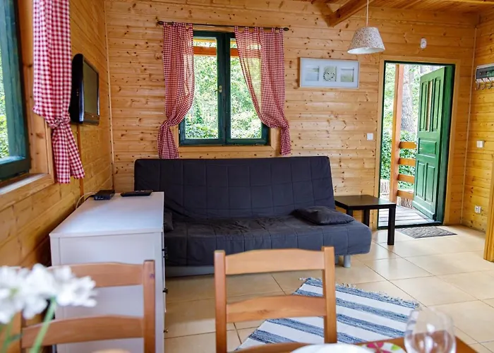 Pinia بوبيروفو