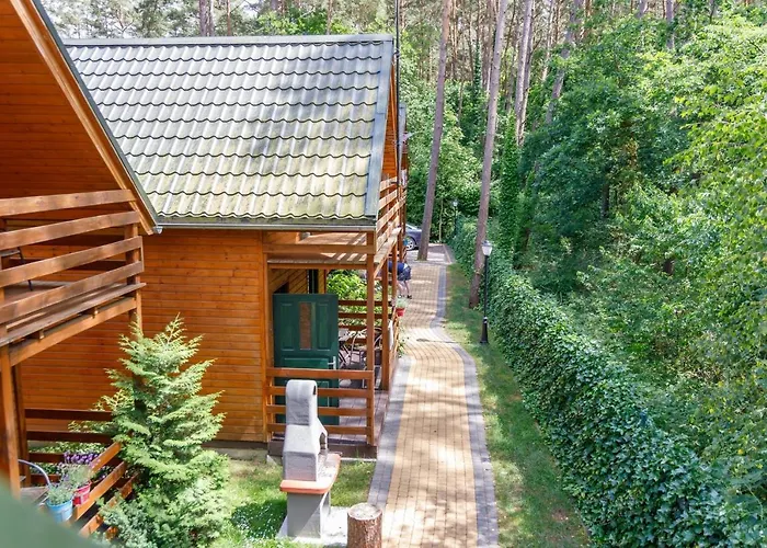 Pinia بوبيروفو